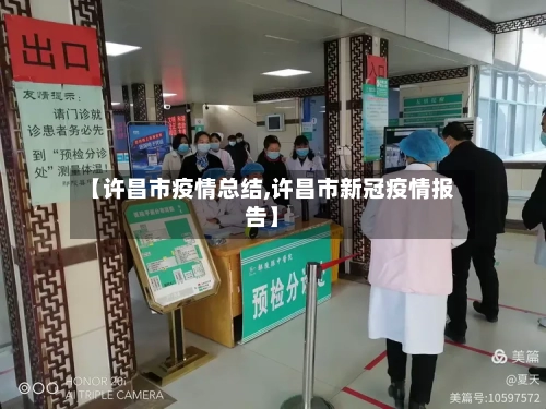 【许昌市疫情总结,许昌市新冠疫情报告】-第3张图片