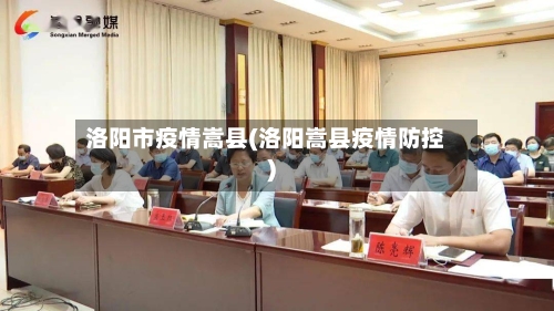 洛阳市疫情嵩县(洛阳嵩县疫情防控)-第1张图片
