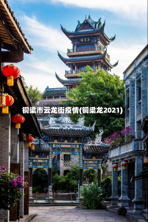 铜梁市云龙街疫情(铜梁龙2021)