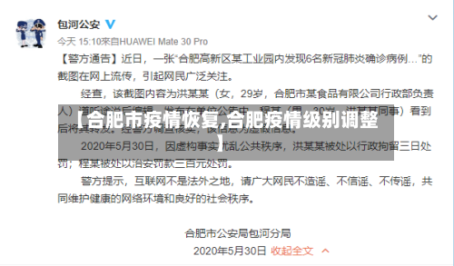 【合肥市疫情恢复,合肥疫情级别调整】-第3张图片