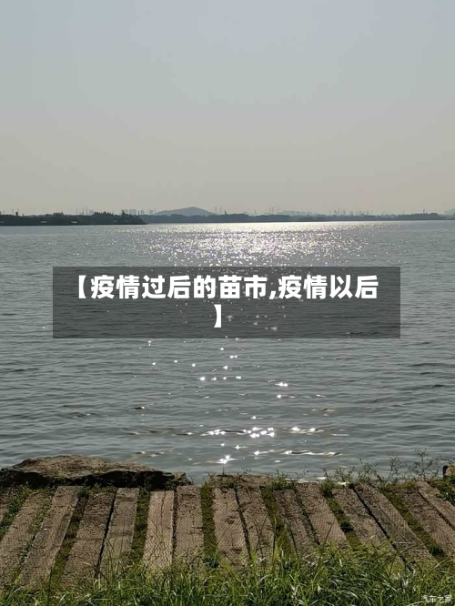 【疫情过后的苗市,疫情以后】-第1张图片