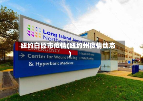 纽约白原市疫情(纽约州疫情动态)-第2张图片