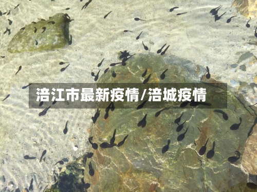 涪江市最新疫情/涪城疫情-第1张图片