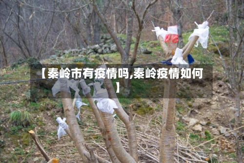 【秦岭市有疫情吗,秦岭疫情如何】-第1张图片