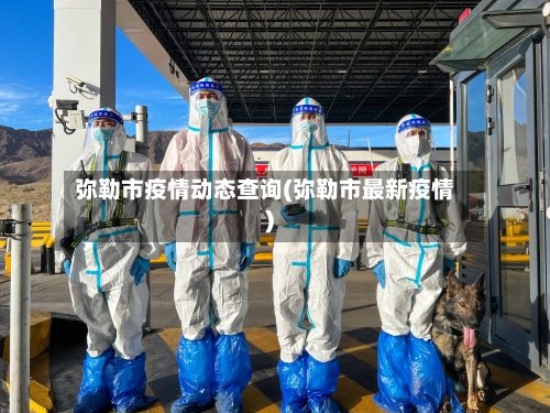 弥勒市疫情动态查询(弥勒市最新疫情)