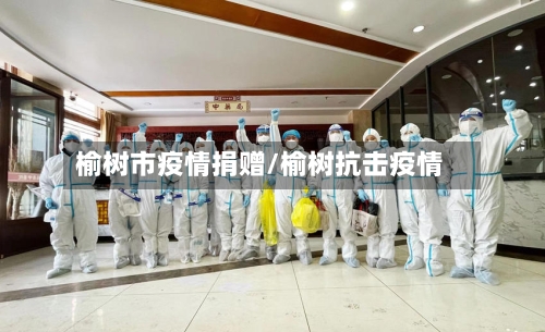 榆树市疫情捐赠/榆树抗击疫情-第1张图片