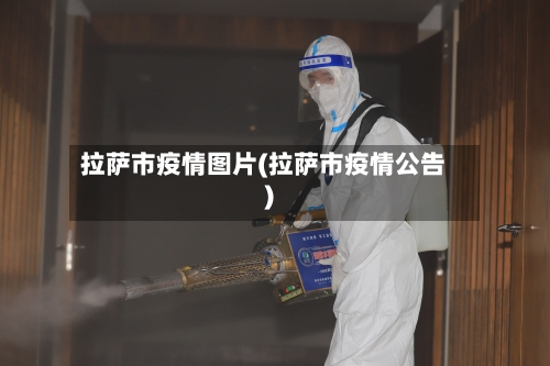 拉萨市疫情图片(拉萨市疫情公告)