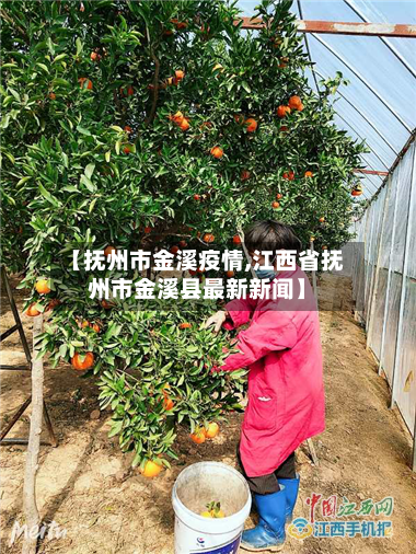 【抚州市金溪疫情,江西省抚州市金溪县最新新闻】