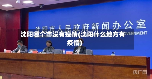 沈阳哪个市没有疫情(沈阳什么地方有疫情)-第1张图片