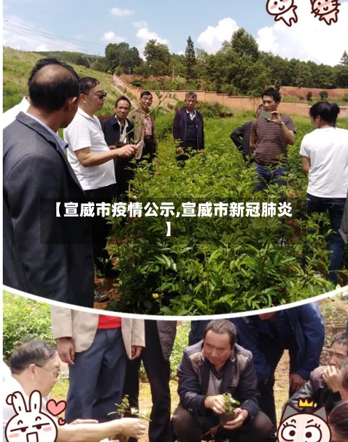 【宣威市疫情公示,宣威市新冠肺炎】-第3张图片
