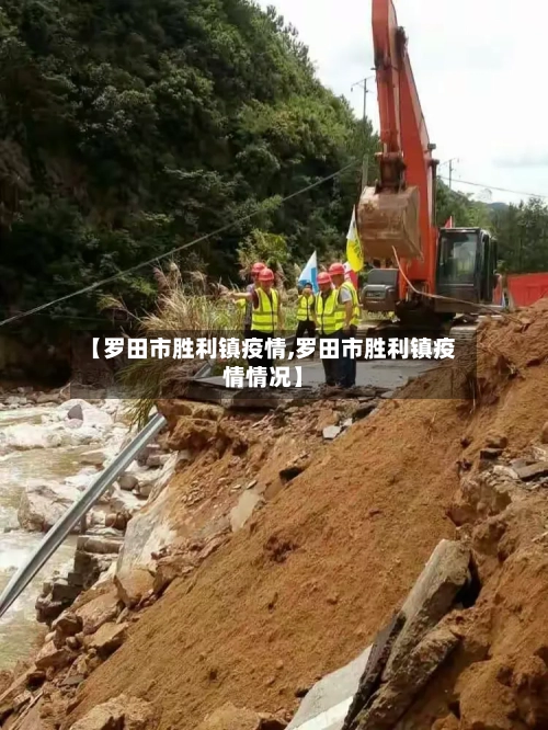 【罗田市胜利镇疫情,罗田市胜利镇疫情情况】-第3张图片