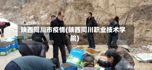 陕西同川市疫情(陕西同川职业技术学院)-第1张图片