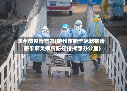 随州市疫情官方(随州市新型冠状病毒感染肺炎疫情防控指挥部办公室)-第2张图片