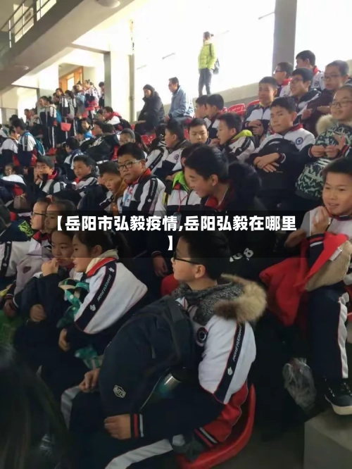 【岳阳市弘毅疫情,岳阳弘毅在哪里】