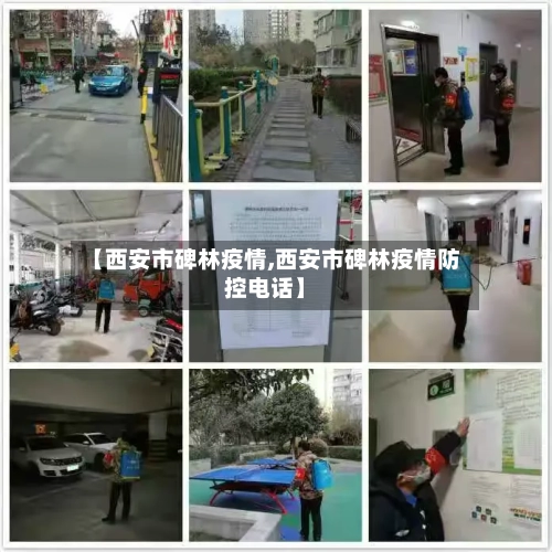【西安市碑林疫情,西安市碑林疫情防控电话】