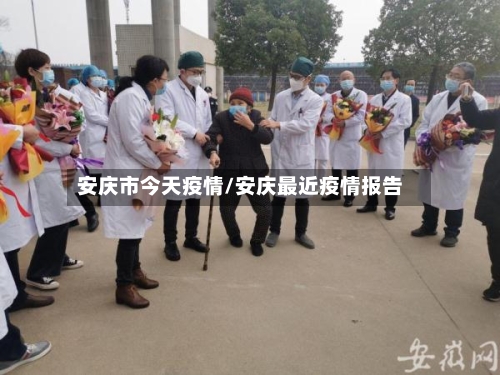 安庆市今天疫情/安庆最近疫情报告-第2张图片