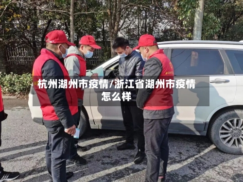 杭州湖州市疫情/浙江省湖州市疫情怎么样-第1张图片