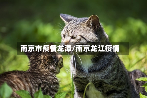 南京市疫情龙潭/南京龙江疫情-第1张图片