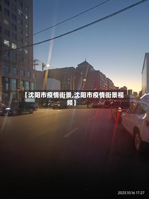 【沈阳市疫情街景,沈阳市疫情街景视频】-第2张图片