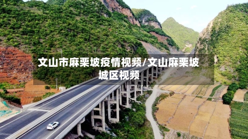 文山市麻栗坡疫情视频/文山麻栗坡城区视频-第1张图片