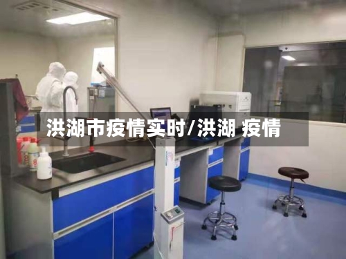 洪湖市疫情实时/洪湖 疫情-第1张图片