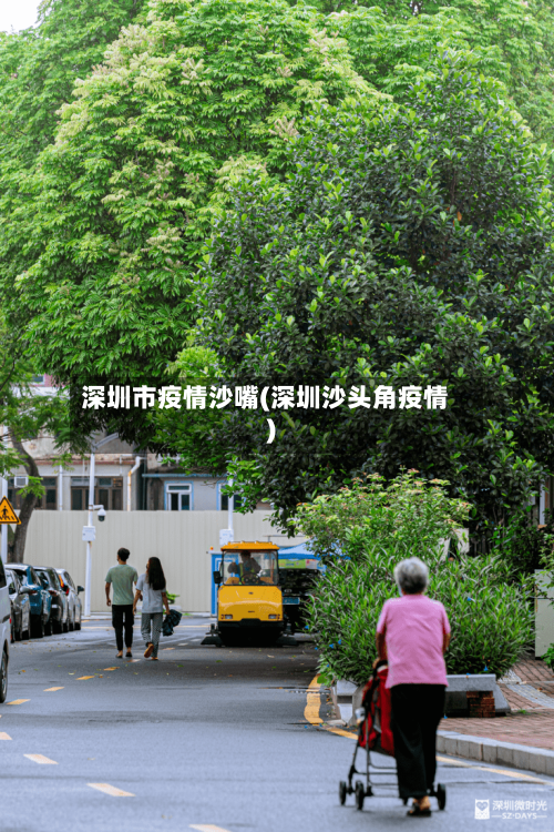 深圳市疫情沙嘴(深圳沙头角疫情)-第2张图片