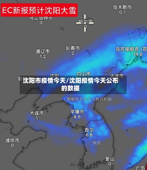 沈阳市疫情今天/沈阳疫情今天公布的数据-第1张图片