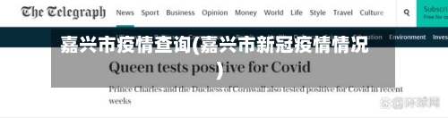 嘉兴市疫情查询(嘉兴市新冠疫情情况)-第1张图片