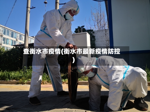 查衡水市疫情(衡水市最新疫情防控)-第2张图片
