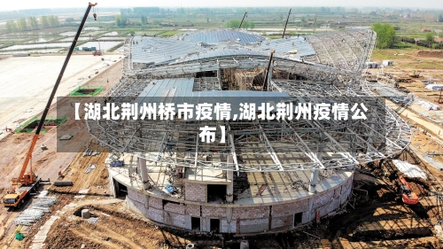 【湖北荆州桥市疫情,湖北荆州疫情公布】-第1张图片