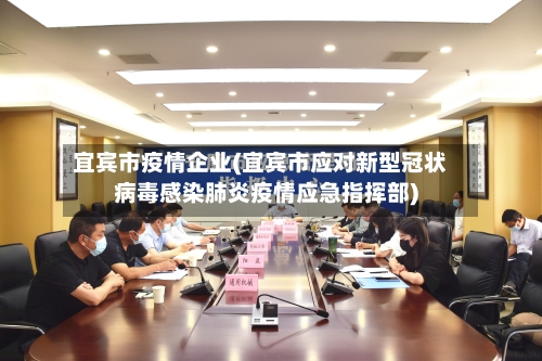 宜宾市疫情企业(宜宾市应对新型冠状病毒感染肺炎疫情应急指挥部)-第1张图片