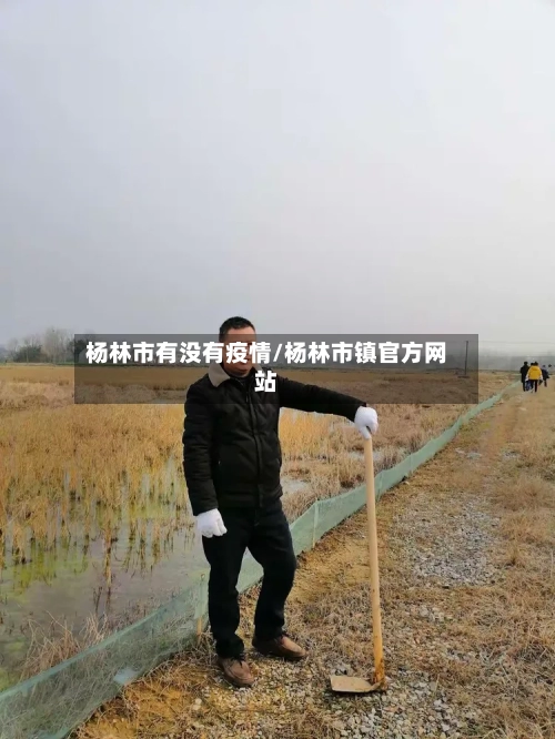 杨林市有没有疫情/杨林市镇官方网站-第2张图片