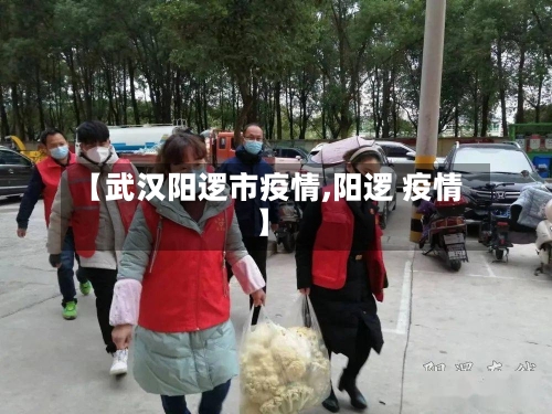 【武汉阳逻市疫情,阳逻 疫情】-第3张图片