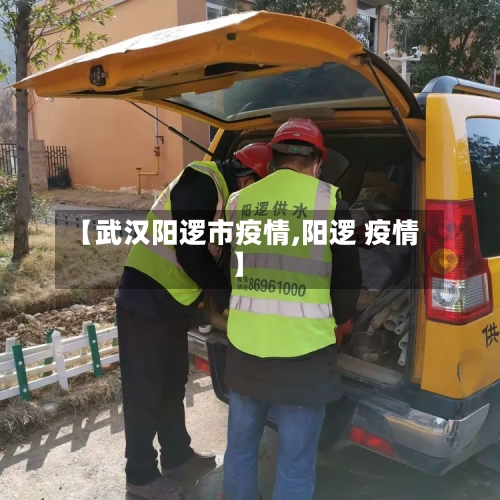 【武汉阳逻市疫情,阳逻 疫情】-第1张图片