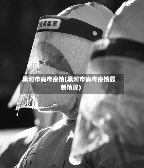 黑河市病毒疫情(黑河市病毒疫情最新情况)-第2张图片