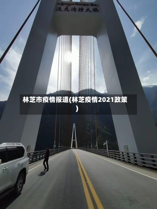 林芝市疫情报道(林芝疫情2021政策)-第1张图片