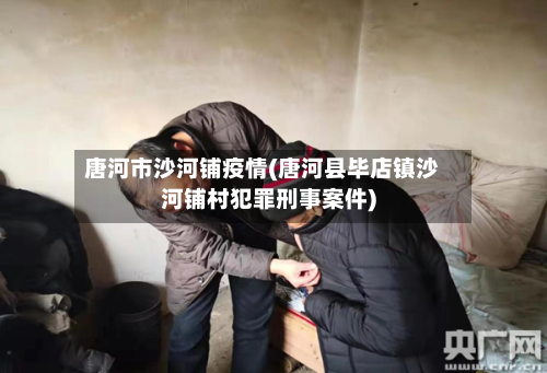 唐河市沙河铺疫情(唐河县毕店镇沙河铺村犯罪刑事案件)-第1张图片