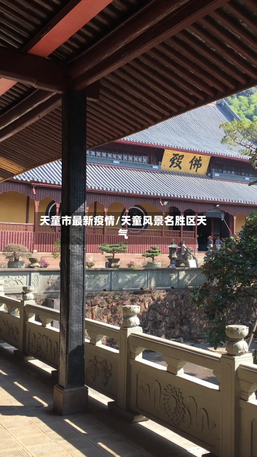 天童市最新疫情/天童风景名胜区天气-第1张图片