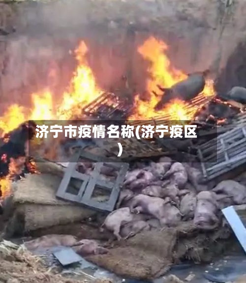 济宁市疫情名称(济宁疫区)-第1张图片