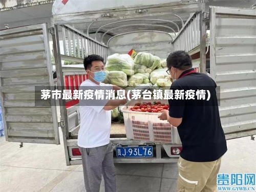 茅市最新疫情消息(茅台镇最新疫情)-第1张图片