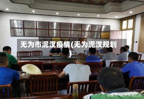 无为市泥汊疫情(无为泥汊规划)-第1张图片