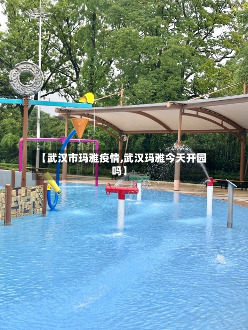 【武汉市玛雅疫情,武汉玛雅今天开园吗】-第1张图片