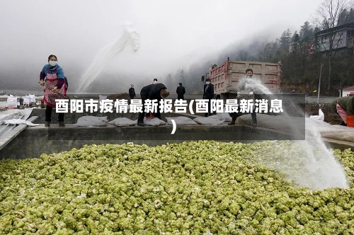 酉阳市疫情最新报告(酉阳最新消息)-第1张图片