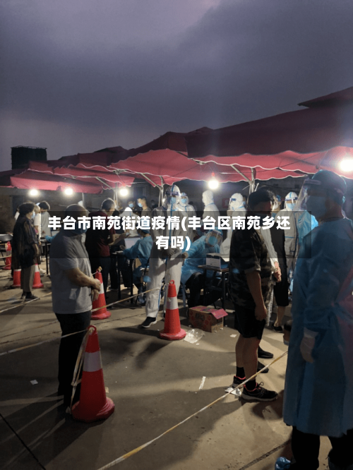 丰台市南苑街道疫情(丰台区南苑乡还有吗)-第1张图片