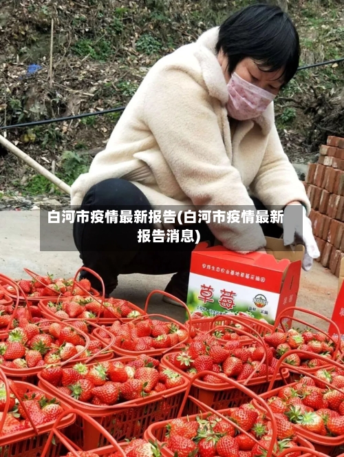 白河市疫情最新报告(白河市疫情最新报告消息)-第1张图片