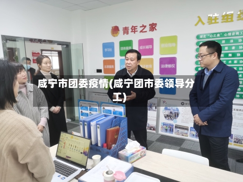 咸宁市团委疫情(咸宁团市委领导分工)-第3张图片