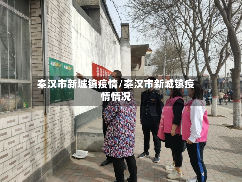秦汉市新城镇疫情/秦汉市新城镇疫情情况-第1张图片