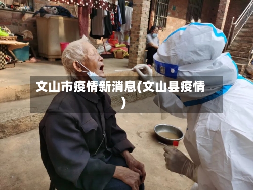 文山市疫情新消息(文山县疫情)-第1张图片