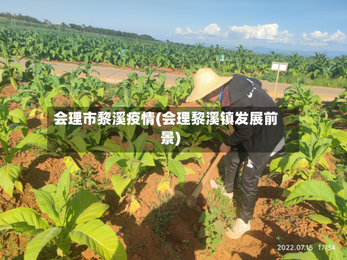会理市黎溪疫情(会理黎溪镇发展前景)-第3张图片