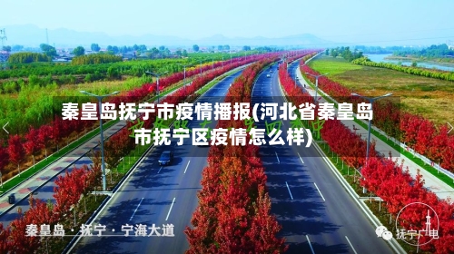 秦皇岛抚宁市疫情播报(河北省秦皇岛市抚宁区疫情怎么样)-第2张图片